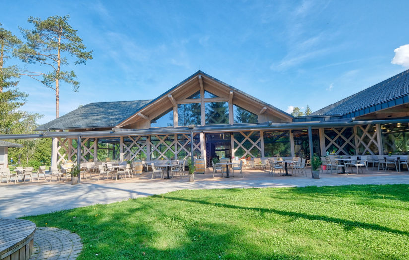 Mobirise Website Builder